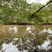 33 Acres in Madison County in Canton  MS images 5