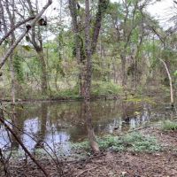 33 Acres in Madison County in Canton  MS images 6