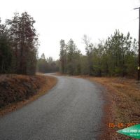 40 ac - Timberland and Hunting with Home Site Potential