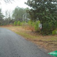 40 ac - Timberland and Hunting with Home Site Potential images 2