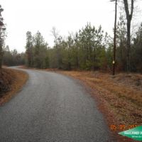 40 ac - Timberland and Hunting with Home Site Potential images 3