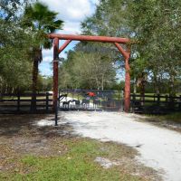 Luxury Riverfront Equine Property For Sale in Arcadia  FL images 2