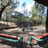 Luxury Riverfront Equine Property For Sale in Arcadia  FL images 3