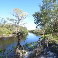 Luxury Riverfront Equine Property For Sale in Arcadia  FL images 5