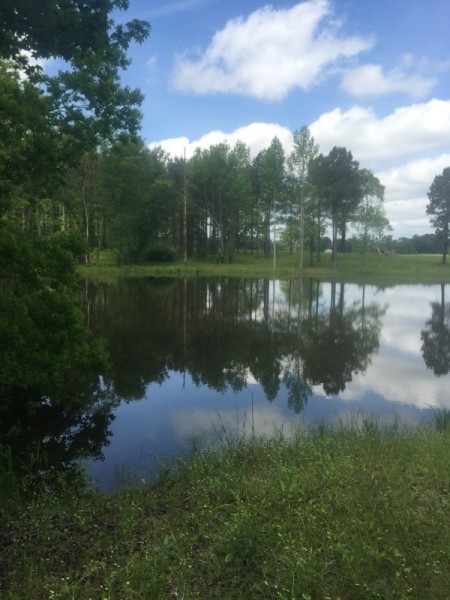 52 acres in Magnolia featured image