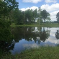 52 acres in Magnolia images 1