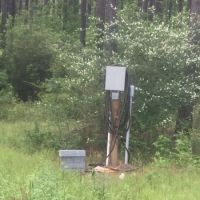 52 acres in Magnolia images 4