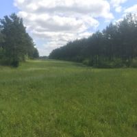 52 acres in Magnolia images 5