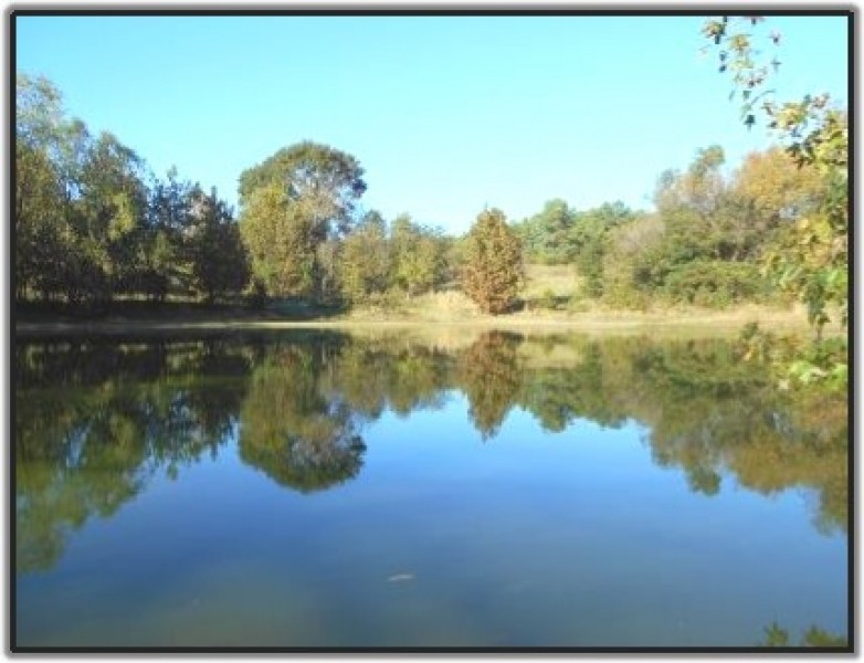 57.49 Acres in Tate County in Sarah  MS featured image