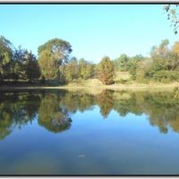 57.49 Acres in Tate County in Sarah  MS