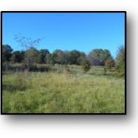 57.49 Acres in Tate County in Sarah  MS images 3