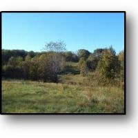 57.49 Acres in Tate County in Sarah  MS images 4