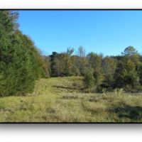 57.49 Acres in Tate County in Sarah  MS images 5