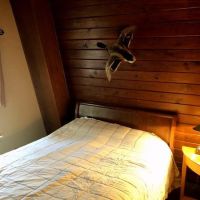 Hill Cabin on East Lake images 3