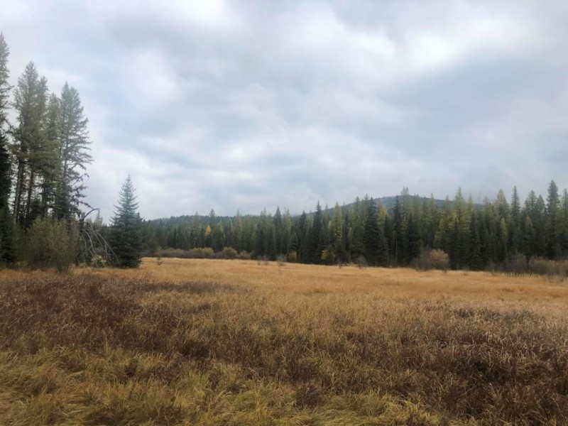 Sustainable Hunting &nbsp; Recreational Ranch For Sale in Lincoln County  MT featured image