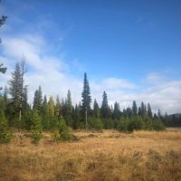Sustainable Hunting &nbsp; Recreational Ranch For Sale in Lincoln County  MT images 2