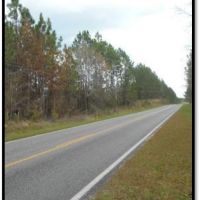 193.8 Acres in Stone County in Wiggins  MS images 3