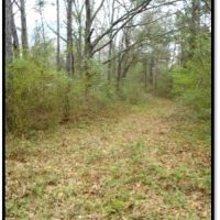 193.8 Acres in Stone County in Wiggins  MS images 4