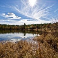 255 Acre Desoto Parish Land for Sale Mansfield  LA