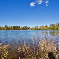 255 Acre Desoto Parish Land for Sale Mansfield  LA images 2
