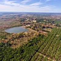255 Acre Desoto Parish Land for Sale Mansfield  LA images 5