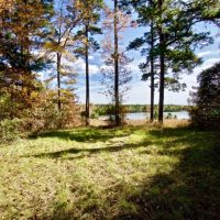 255 Acre Desoto Parish Land for Sale Mansfield  LA images 6