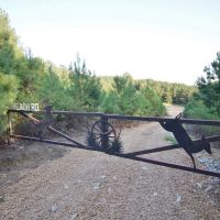 Turnkey Hunting Tract &nbsp; Camp Land for Sale Adams County  MS images 2