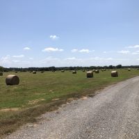 Kelley Ranch images 3