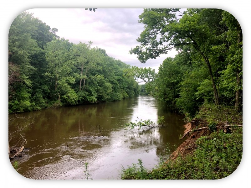 751.86 Acres  Pierce Farm  in Stoddard County in Dudley  Missouri featured image