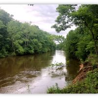 751.86 Acres  Pierce Farm  in Stoddard County in Dudley  Missouri