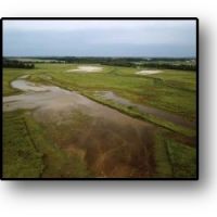 751.86 Acres  Pierce Farm  in Stoddard County in Dudley  Missouri images 2