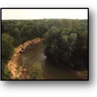 751.86 Acres  Pierce Farm  in Stoddard County in Dudley  Missouri images 3