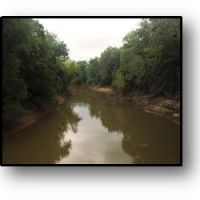 751.86 Acres  Pierce Farm  in Stoddard County in Dudley  Missouri images 4