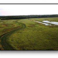 751.86 Acres  Pierce Farm  in Stoddard County in Dudley  Missouri images 6