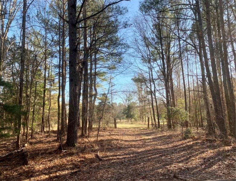 115 Acres in Webster County in Eupora  MS featured image