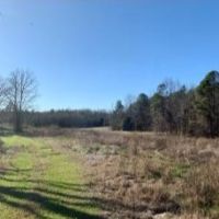 115 Acres in Webster County in Eupora  MS images 2