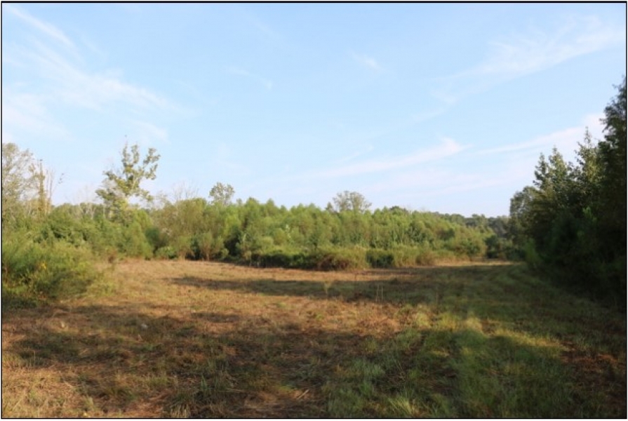 70 Acres in Neshoba County in Union MS Hunting Land for Sale
