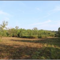 70 Acres in Neshoba County in Union  MS