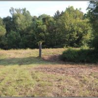 70 Acres in Neshoba County in Union  MS images 2