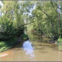 70 Acres in Neshoba County in Union  MS images 3