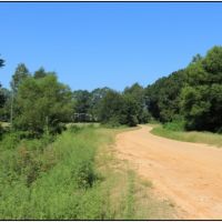 70 Acres in Neshoba County in Union  MS images 4