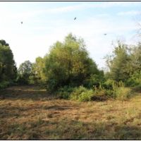 70 Acres in Neshoba County in Union  MS images 5
