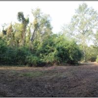 70 Acres in Neshoba County in Union  MS images 6