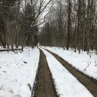 122 acres Timberland and Recreational Land in Taberg NY Sullivan Road images 2