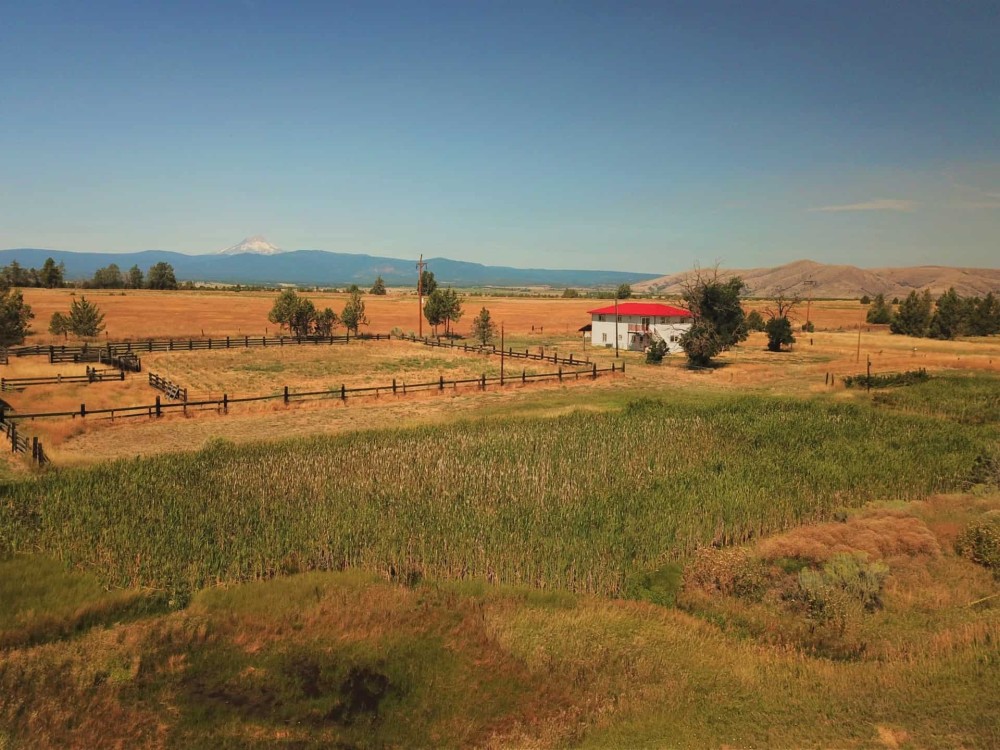 Painted Skies Ranch featured image