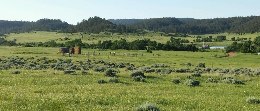 Custer Gallatin Ranch featured image