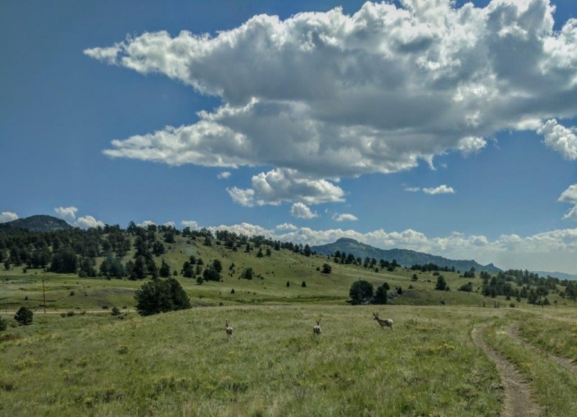 39 Mile Ranch featured image