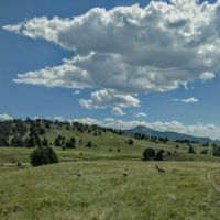 39 Mile Ranch images 1