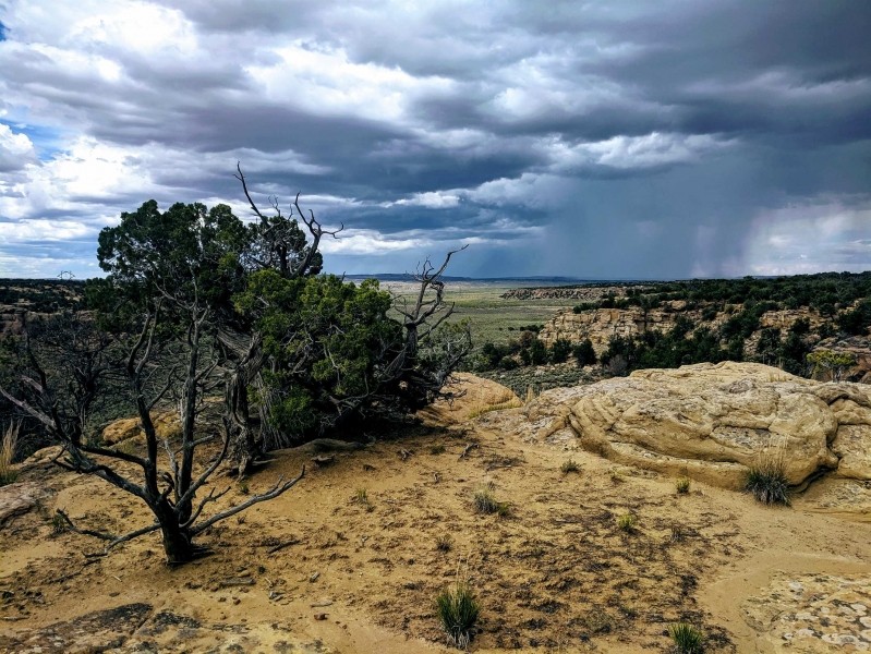 Old Spanish Trail Ranch featured image