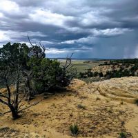 Old Spanish Trail Ranch